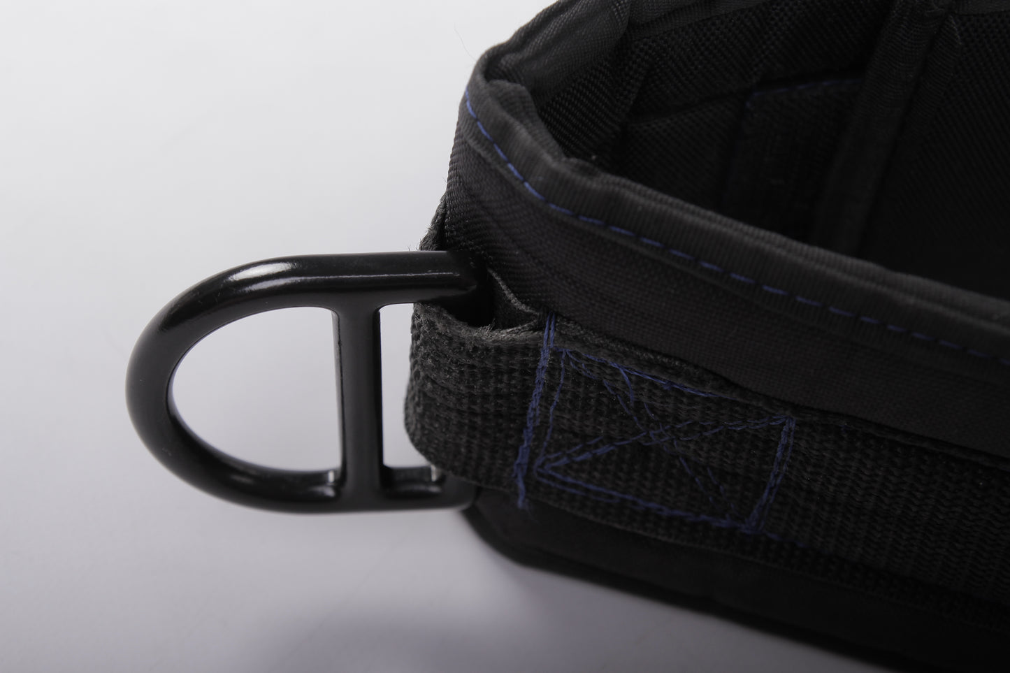 Safety Belt - black/blue